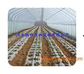 中牟大棚瓜今日价格,价格行情一览