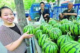 中牟大棚瓜今日价格,价格行情一览