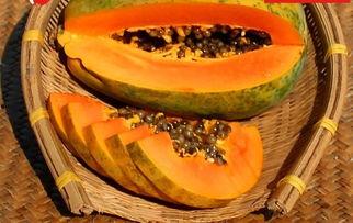 61吃瓜今日吃瓜入口,今日吃瓜入口，揭秘娱乐圈新鲜事