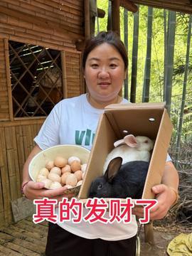 今日头条的蜜瓜是真的吗,真相大起底！