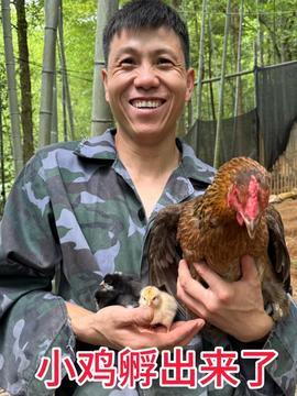 今日头条的蜜瓜是真的吗,真相大起底！