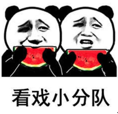 带你吃瓜拍照今日说法