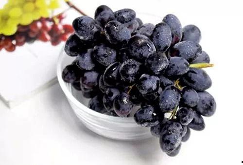 黑吃瓜2839867Z空间,一场惊心动魄的虚拟世界冒险