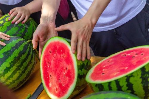 今日吃瓜在哪看