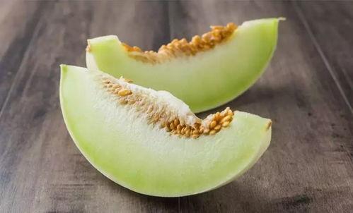 今日海南崖州蒲瓜价格,新鲜采摘直供市场”