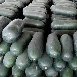 吃瓜小老黑,揭秘娱乐圈背后的那些事儿