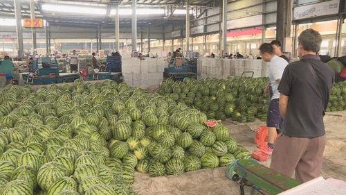 今日盐城瓜价,今日瓜价行情一览