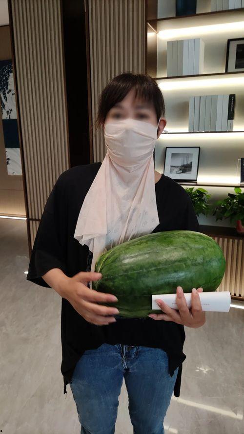 今日盐城瓜价,今日瓜价行情一览