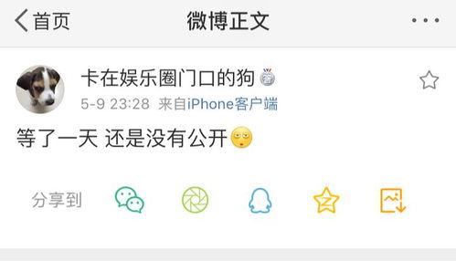 吃瓜大队爆料微信,揭秘微信背后的惊人内幕！”