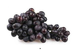 紫瓜里面的黑籽可以吃吗,揭秘可食用之谜