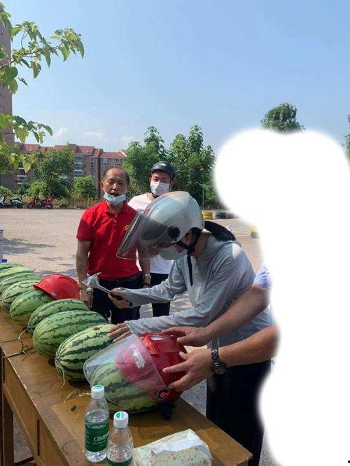 十堰今日吃瓜事件,揭秘网络热议背后的真相