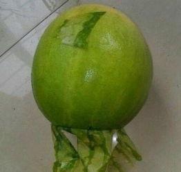 潮州今日吃瓜事件最新