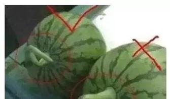 颜色吃瓜爆料群,揭秘“颜色吃瓜爆料群”背后的秘密