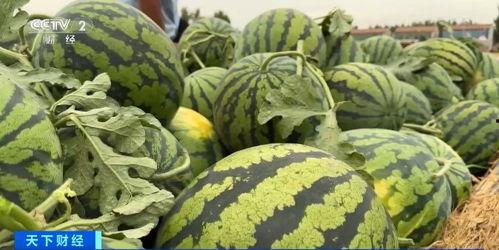 颜色吃瓜爆料群,揭秘“颜色吃瓜爆料群”背后的秘密