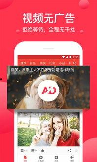 呱呱爆料吃瓜视频下载,吃瓜视频下载背后的秘密