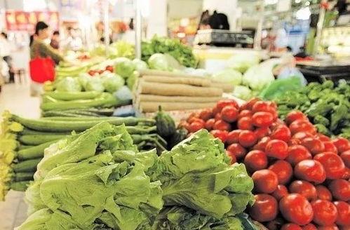 陕西乳瓜今日行情价格