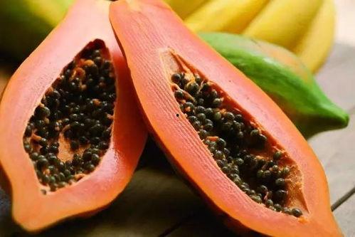 黑米奶奶南京地铁吃瓜,地铁文明与个人习惯的碰撞