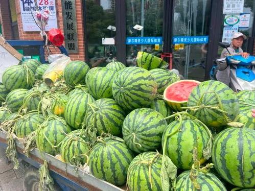 水果吊瓜今日行情最新,价格波动与市场动态一览