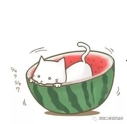 卡通百科老王今日吃瓜