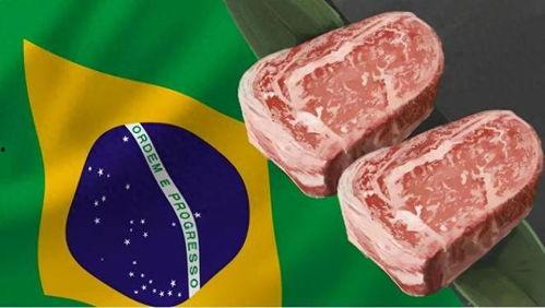 巴西牛肉瓜条今日价,探寻南美风味的新宠