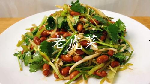 今日吃瓜老虎菜全集视频