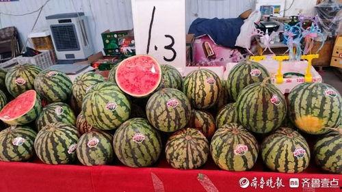 今日小瓜行情,今日市场动态一览