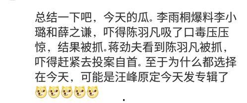 快乐不止今日 瓜的大写,瓜的传奇之旅