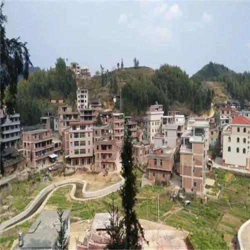 今日关注土瓜圩园洲违建,揭秘背后真相与整治行动