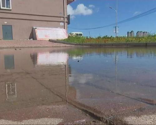 今日关注土瓜圩园洲违建,揭秘背后真相与整治行动