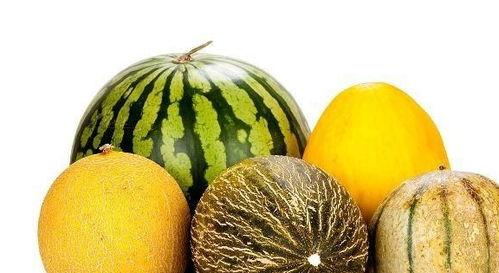 黑老瓜能吃吗怎么吃,黑老瓜的食用方法与营养价值揭秘