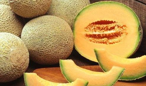 糖尿病人可以吃黑蜜瓜不,黑蜜瓜的甜蜜秘密