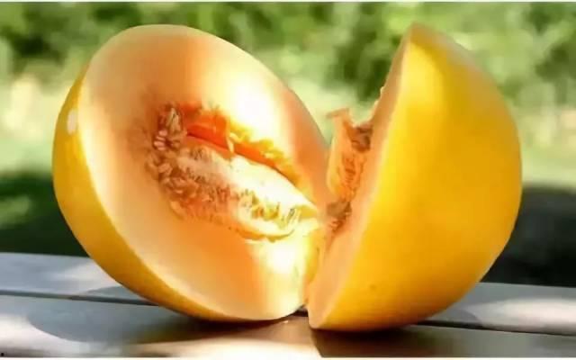 民勤蜜瓜价格表今日价格