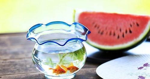 吃瓜黑料理,一场味蕾与创意的碰撞之旅