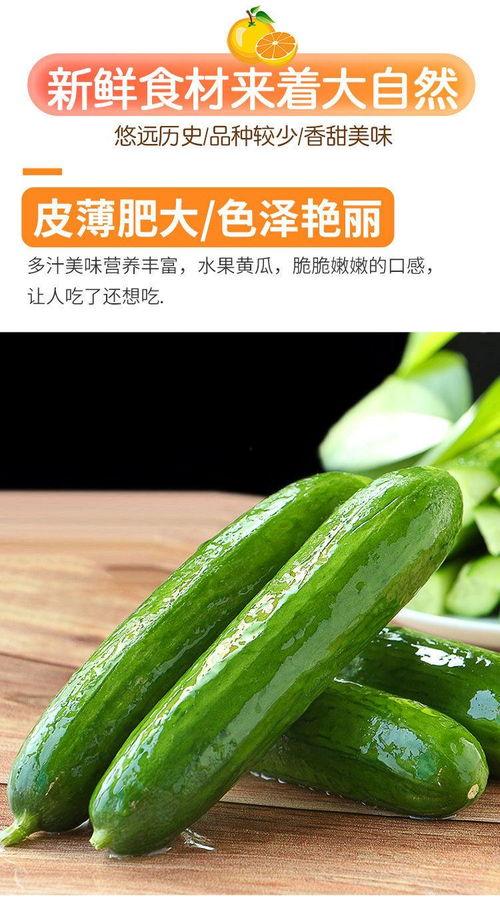 黑瓜吃黄瓜,黑瓜与黄瓜的奇妙邂逅