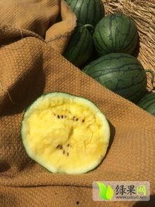 沭阳今日的瓜